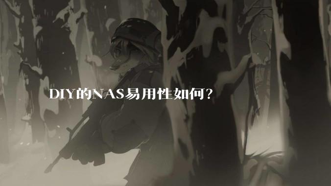 DIY的NAS易用性如何？