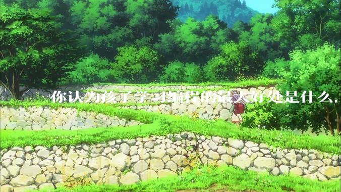 你认为孩子学习编程的最大好处是什么，等级考试有用吗?